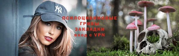 гидропоника Краснотурьинск