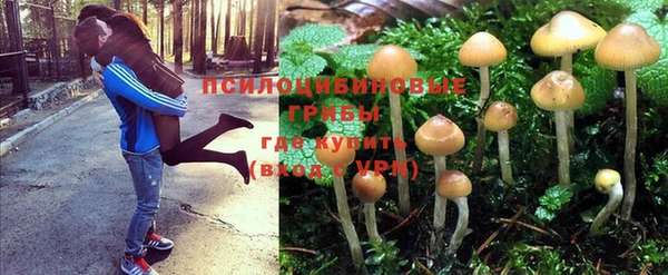 гидропоника Краснотурьинск
