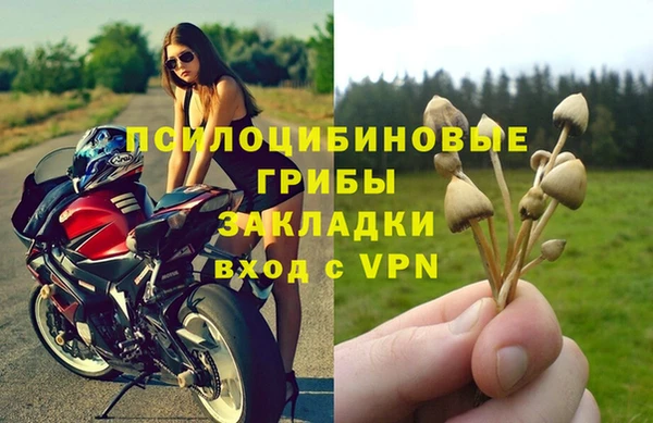 шишки Красноперекопск