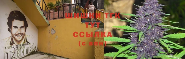 гидропоника Краснотурьинск