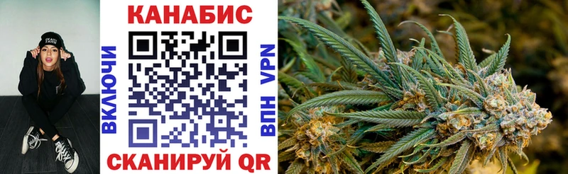 Бошки Шишки план  Купить где  Наволоки 